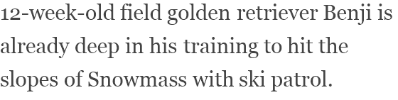 View content recommended for you