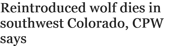 View content recommended for you