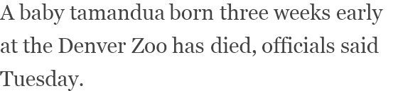 View content recommended for you