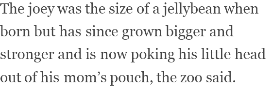 View content recommended for you