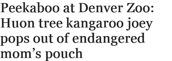 View content recommended for you