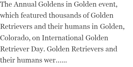 View content recommended for you