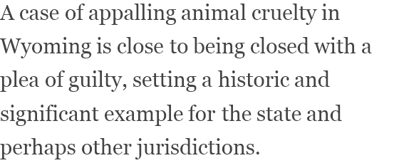 View content recommended for you