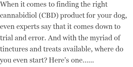 View content recommended for you